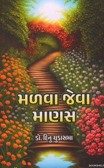 Maḷavā jevā māṇasa