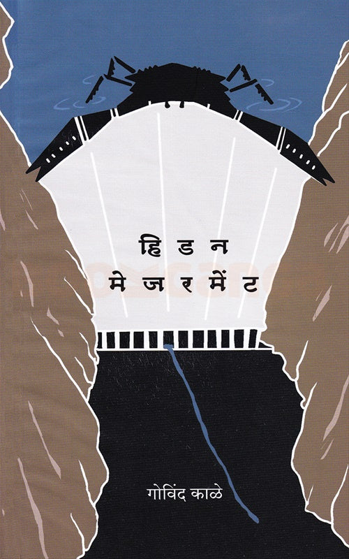 Hiḍana mejarameṇṭa