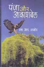 Pañjā aura Ākāśa bela