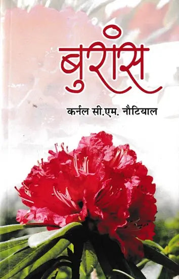 Burāṃsa