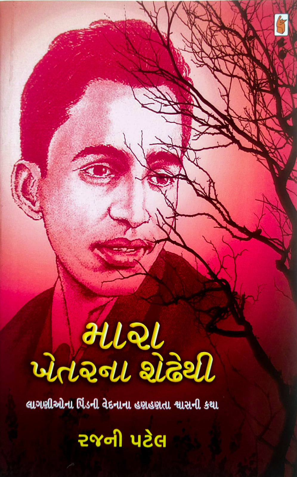 Mārā khetaranā śeḍhethī : lāgaṇīonā piṇḍanī vedanānā haṇahaṇatā śvāsanī kathā