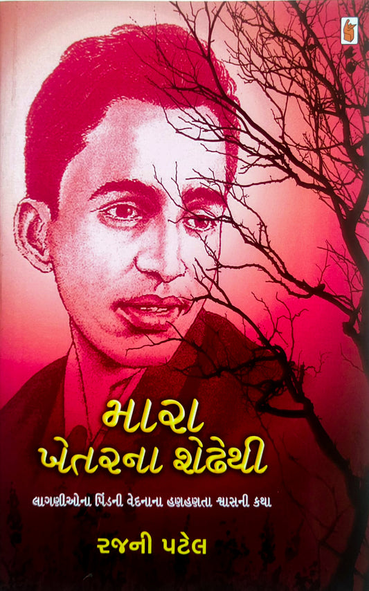 Mārā khetaranā śeḍhethī : lāgaṇīonā piṇḍanī vedanānā haṇahaṇatā śvāsanī kathā