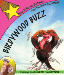 Birdywood Buzz: The Venture Returns [H]
