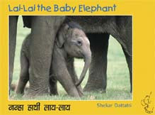 Lai-Lai The Baby Elephant [H]